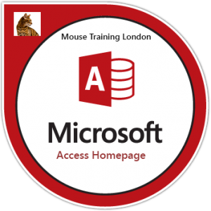 Microsoft Access Training Courses, Microsoft Access Training Courses in London