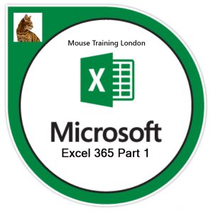 Microsoft Excel 365 Training Course