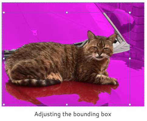adjusting the bounding box