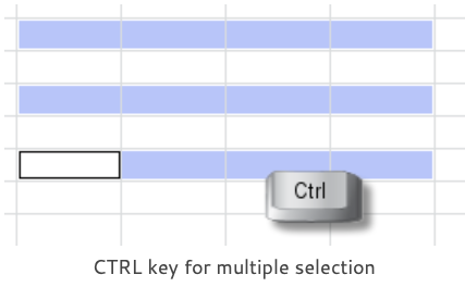 ctrl key for multiple selection