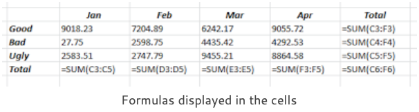 formulas displayed in the cells