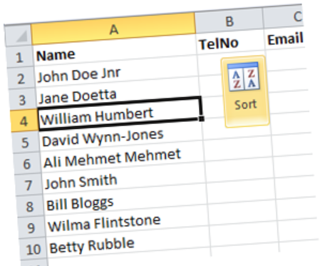 Excel Sort by Last Name