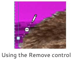 using the remove control
