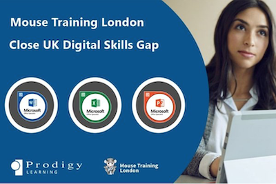 Skills Gap | Mouse Training London Ltd skills gap