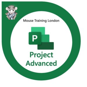 Microsoft Project Advanced Training Course