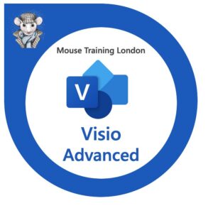 Visio Advanced Training Course