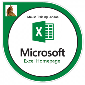 Excel Logo Homepage Microsoft Excel Training Courses, Microsoft Excel Training Courses in London