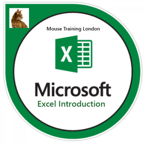 excel Logo introduction Excel Introduction Training Course, Microsoft Excel Introduction Training Course