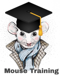 prof-mouse Microsoft Office Specialist